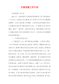 支部党建工作计划