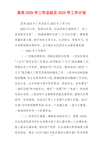 某局2025年工作总结及2025年工作计划