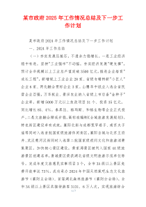 某市政府2025年工作情况总结及下一步工作计划