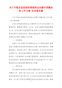 关于开展全县招投标领域突出问题专项整治的工作方案 征求意见稿