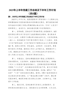 2025年上半年党建工作总结及下半年工作计划8篇（参考）
