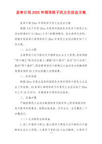 县审计局2025年领导班子民主生活会方案