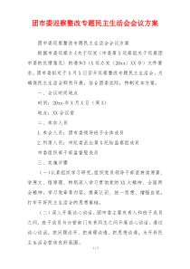 团市委巡察整改专题民主生活会会议方案