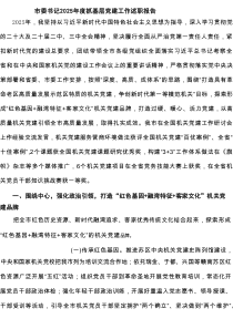 【7篇】市委书记2025年度抓基层党建工作述职报告范文