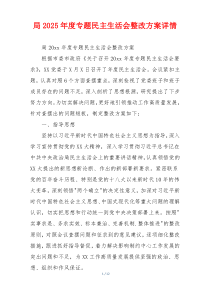 局2025年度专题民主生活会整改方案详情