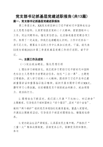 党支部书记抓基层党建述职报告（共13篇）