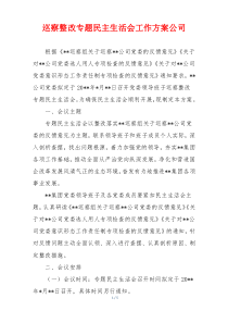 巡察整改专题民主生活会工作方案公司