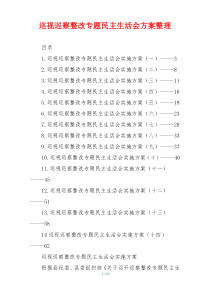 巡视巡察整改专题民主生活会方案整理