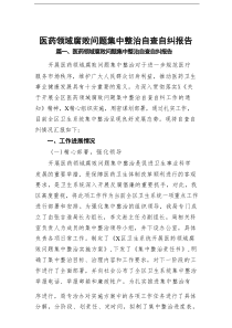 医药领域腐败问题集中整治自查自纠报告（最新16篇）