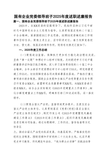 国有企业党委领导班子2025年度述职述廉报告13篇（精选）