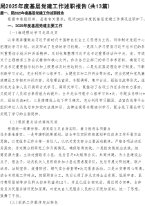 局2025年度基层党建工作述职报告（共13篇）