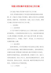 市重大项目集中攻坚行动工作方案