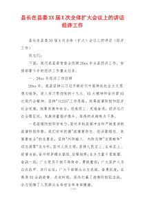 县长在县委XX届X次全体扩大会议上的讲话经济工作