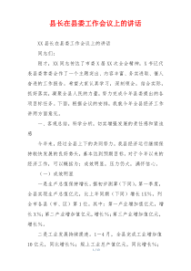 县长在县委工作会议上的讲话