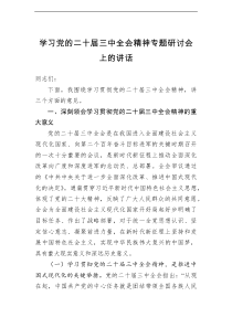 学习党的二十届三中全会精神专题研讨会上的讲话