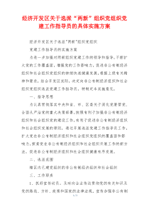 经济开发区关于选派“两新”组织党组织党建工作指导员的具体实施方案