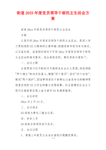 街道2025年度党员领导干部民主生活会方案