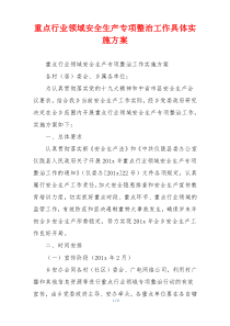 重点行业领域安全生产专项整治工作具体实施方案