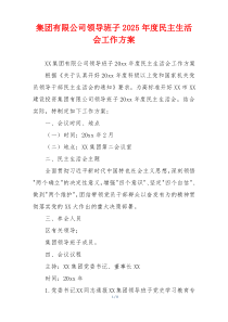 集团有限公司领导班子2025年度民主生活会工作方案