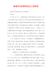 街道书记在防汛会议上的讲话
