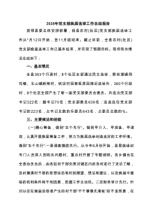 2025年党支部换届选举工作总结报告（精选8篇）