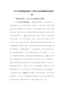2024年贯彻落实党的二十届三中全会精神情况总结汇报
