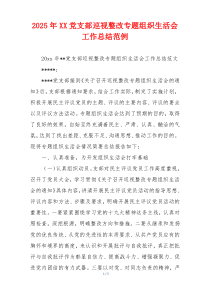 2025年XX党支部巡视整改专题组织生活会工作总结范例