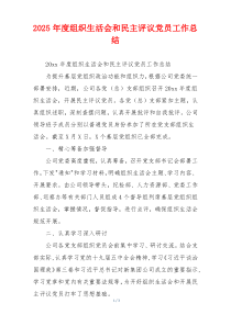 2025年度组织生活会和民主评议党员工作总结