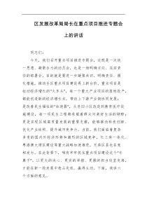区发展改革局局长在重点项目推进专题会上的讲话