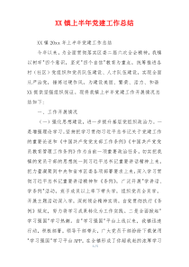 XX镇上半年党建工作总结