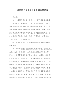 县局局长在宣布干部会议上的讲话