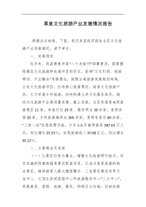 某县文化旅游产业发展情况报告