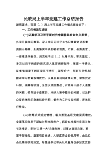 民政局上半年党建工作总结报告