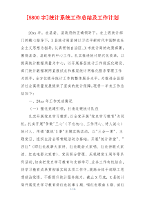 [5800字]统计系统工作总结及工作计划