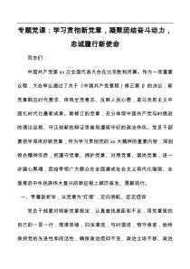 专题党课学习贯彻新党章凝聚团结奋斗动力忠诚履行新使命