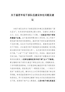 关于基层年轻干部队伍建设存在问题及建议