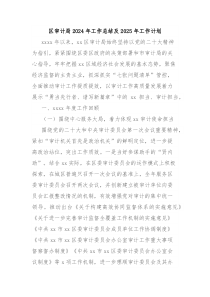 区审计局2024年工作总结及2025年工作计划