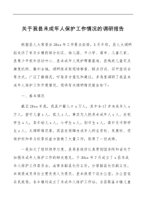 关于我县未成年人保护工作情况的调研报告