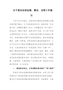 关于推动巡视监督整改治理工作建议