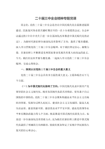 二十届三中全会精神专题党课