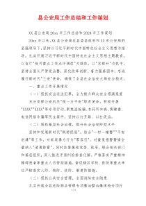 县公安局工作总结和工作谋划