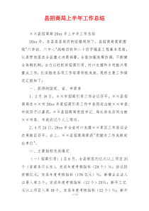 县招商局上半年工作总结