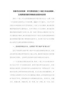 党委书记讲党课学习贯彻党的二十届三中全会精神以高质量党建引领推进全面深化改革