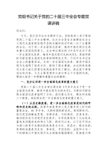 党组书记党的二十届三中全会专题党课讲稿
