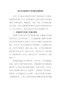 市在非遗保护与传承情况调研报告