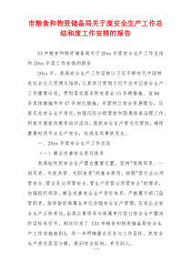 市粮食和物资储备局关于度安全生产工作总结和度工作安排的报告
