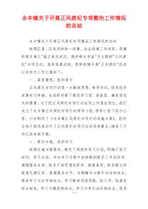 永丰镇关于开展正风肃纪专项整治工作情况的总结