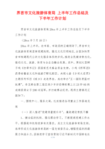 界首市文化旅游体育局 上半年工作总结及下半年工作计划