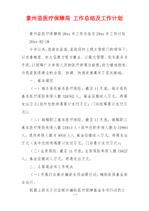 象州县医疗保障局 工作总结及工作计划