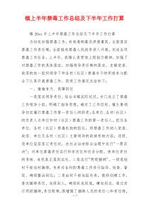 镇上半年禁毒工作总结及下半年工作打算
